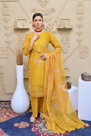Opal 02 | 3PC shitched Chikankari Lawn Suit