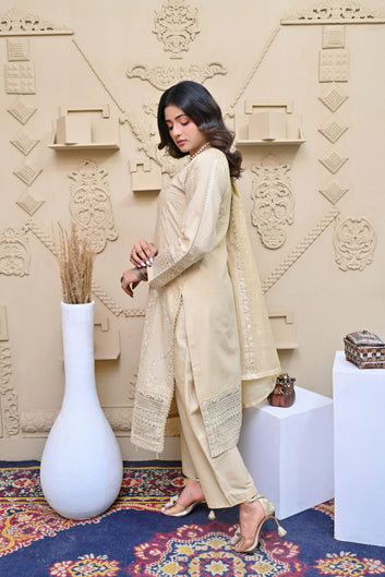 Iris 02 - 3PC Stitched chikankari Lawn Suit