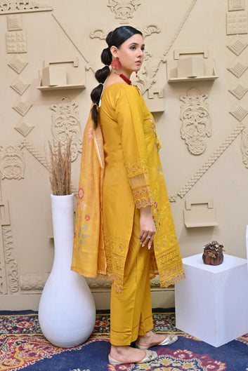 Opal 02 | 3PC shitched Chikankari Lawn Suit