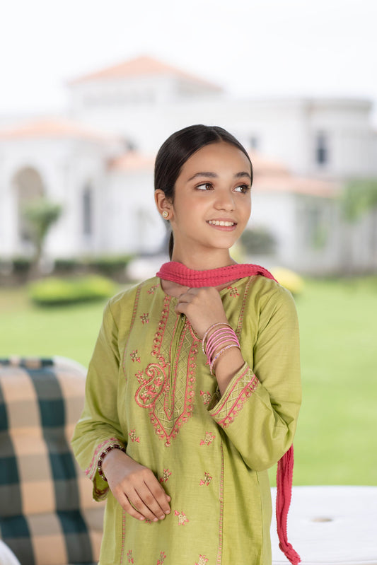 3 Piece Stitched Embroidered Dress Green