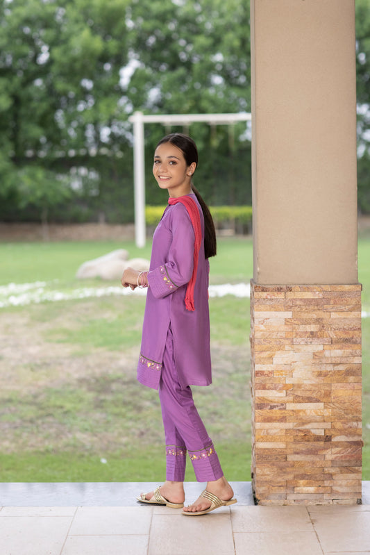 3 Piece Stitched Embroidered Dress purple